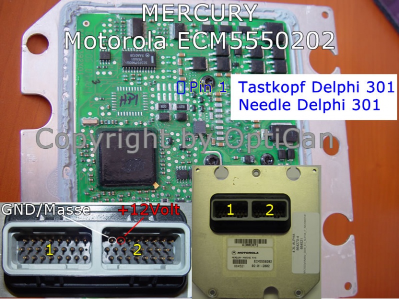 Motorola ECM 5550202 (Mercury) pinout diagram 1